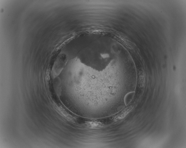 X0000087640654200705031511