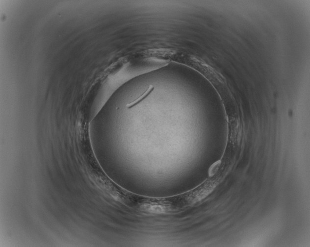 X0000087640655200705031511