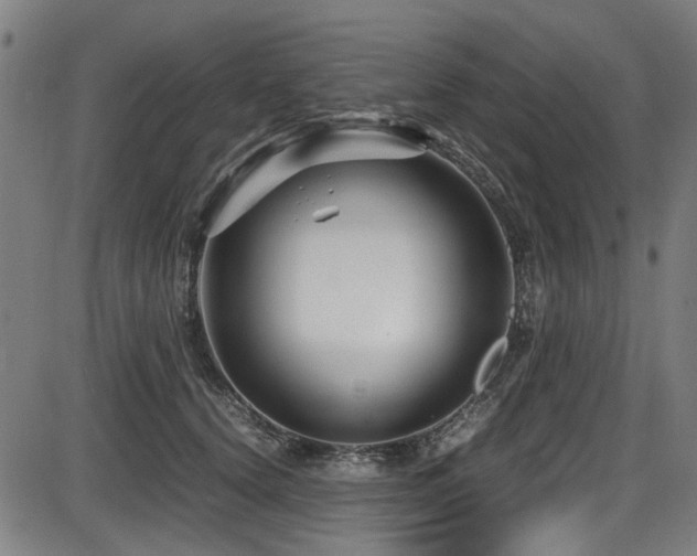 X0000087640656200705031511