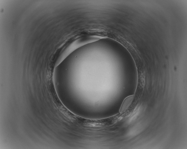 X0000087640657200705031511