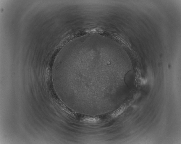 X0000087640659200705031511