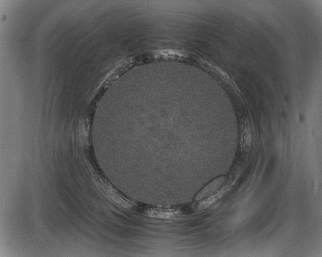 X0000087640661200705031512