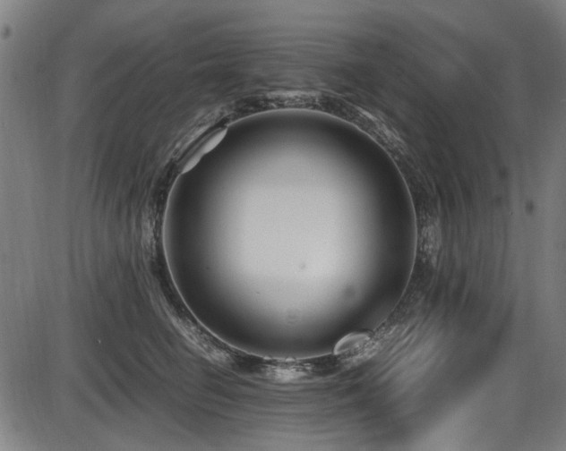 X0000087640662200705031512