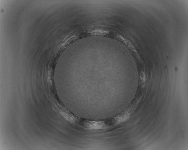 X0000087640663200705031512