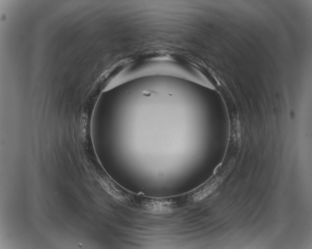 X0000087640664200705031512