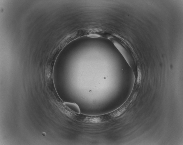 X0000087640665200705031512