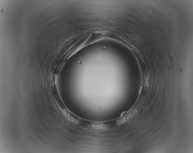 X0000087640666200705031512