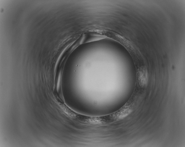 X0000087640668200705031512