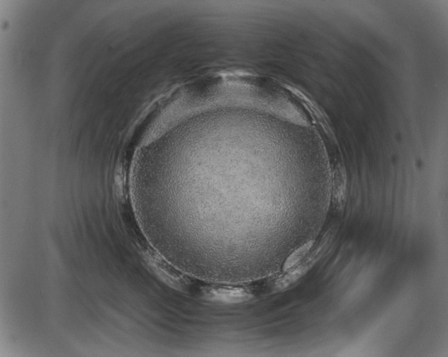 X0000087640669200705031512