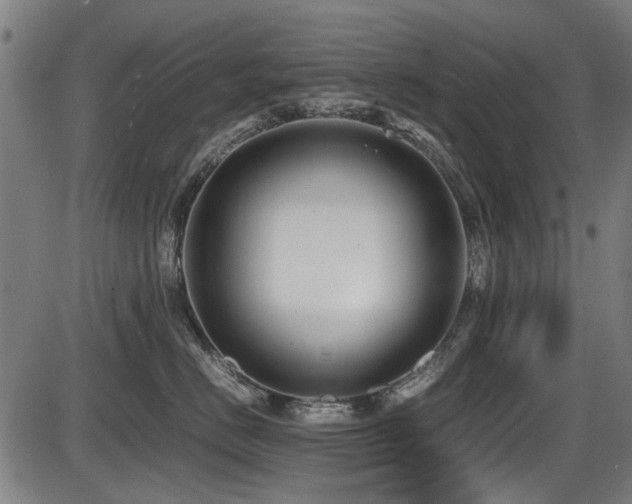 X0000087640670200705031512