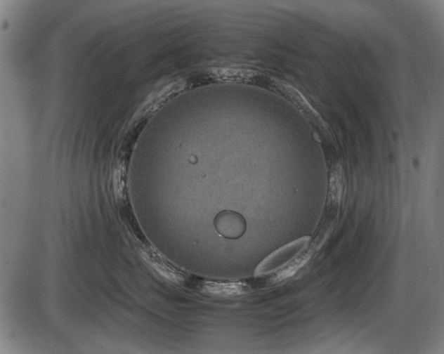 X0000087640671200705031512