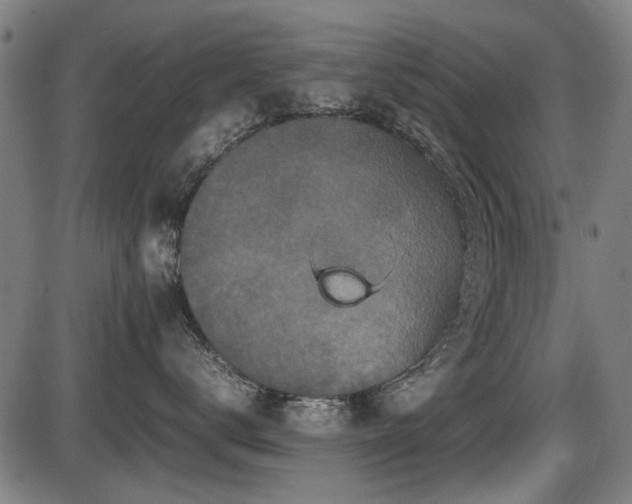 X0000087640672200705031512