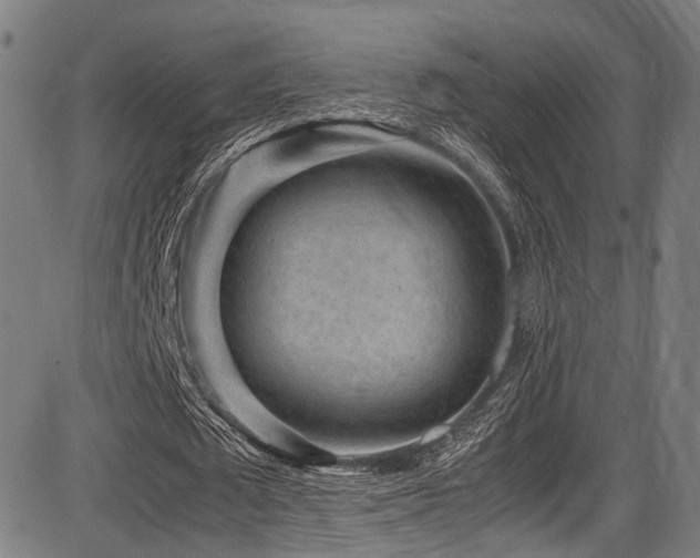 X0000087640673200705031511