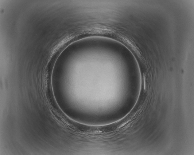 X0000087640675200705031511