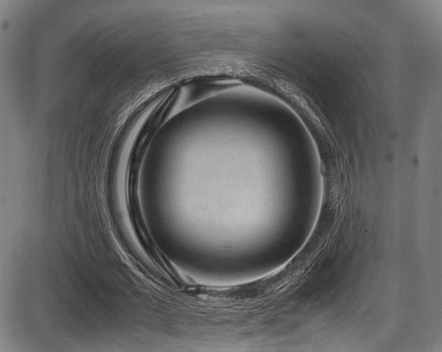 X0000087640677200705031511