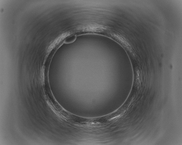 X0000087640678200705031511