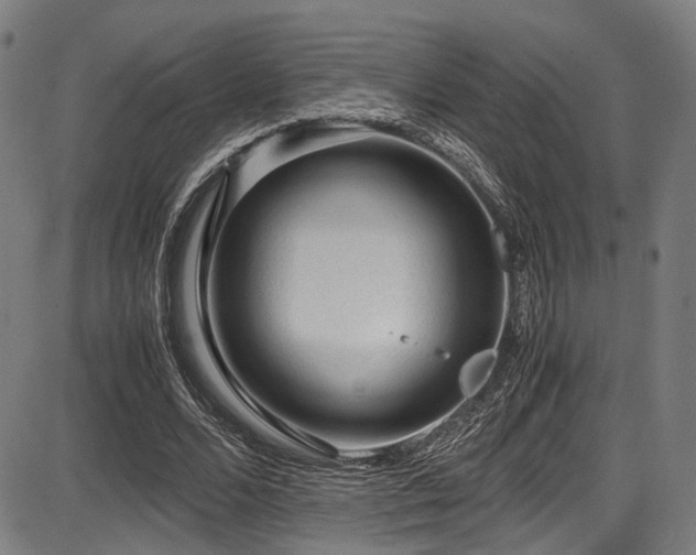 X0000087640680200705031511