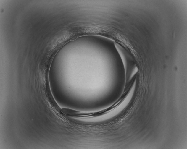 X0000087640681200705031511