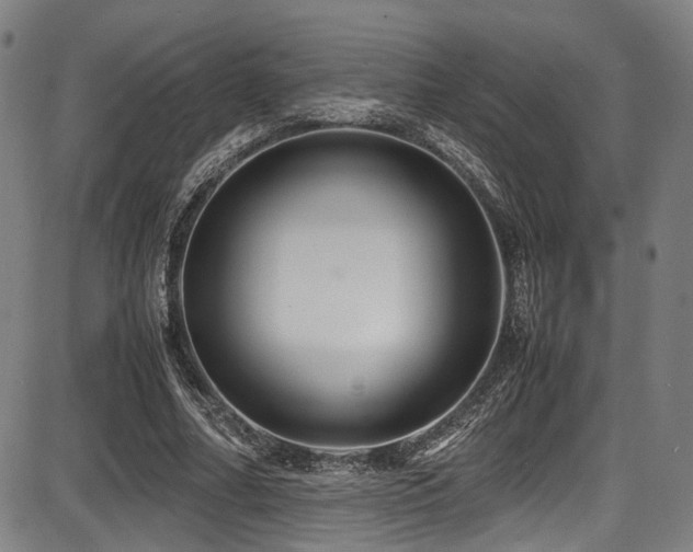 X0000087640682200705031511