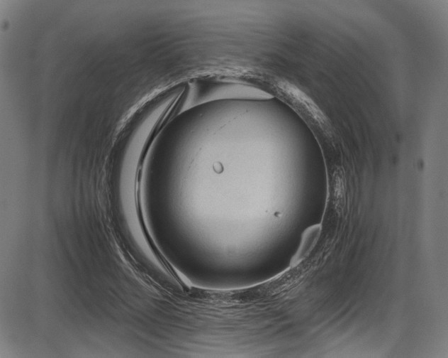 X0000087640684200705031511