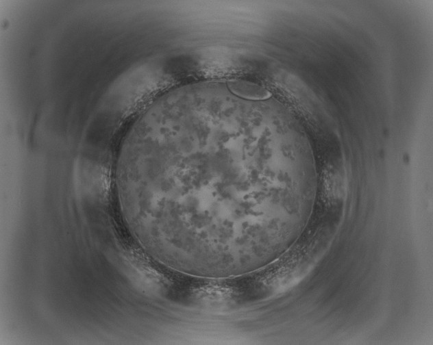 X0000087640691200705031511