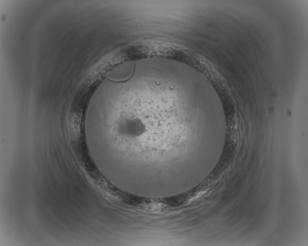 X0000087640695200705031511