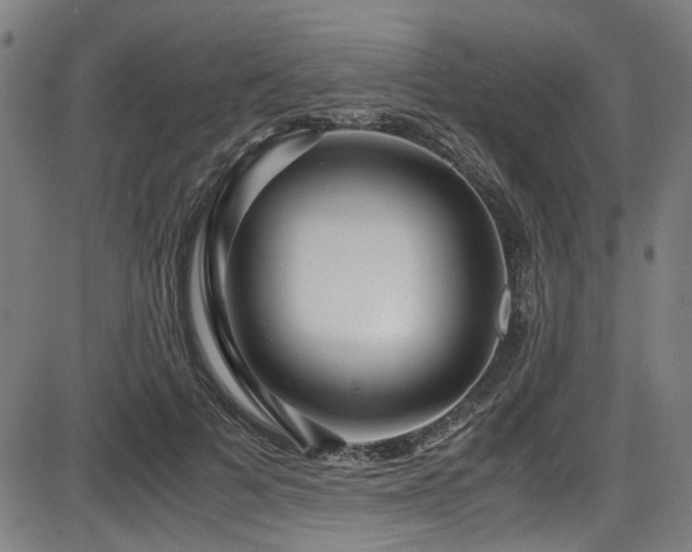 X0000087640697200705031511