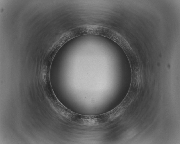 X0000087640698200705031511