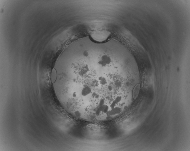 X0000087640699200705031511