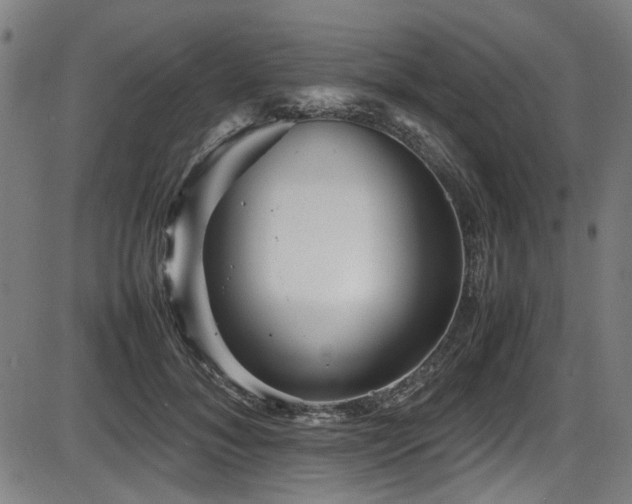 X0000087640700200705031510