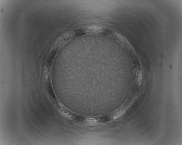 X0000087640701200705031510