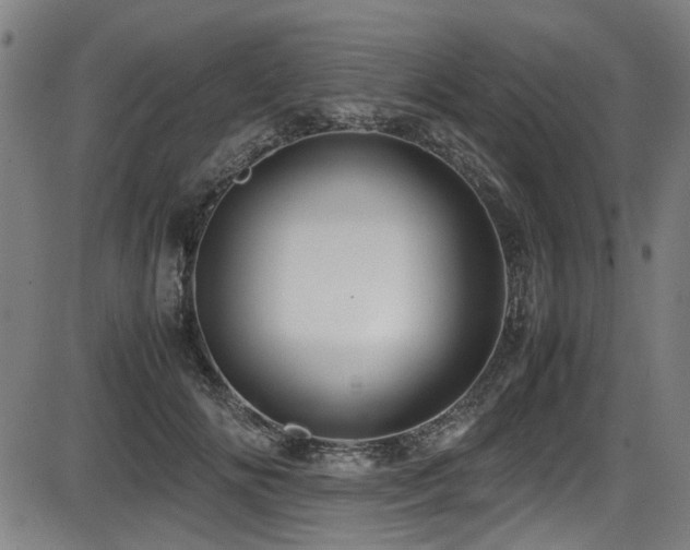 X0000087640702200705031510