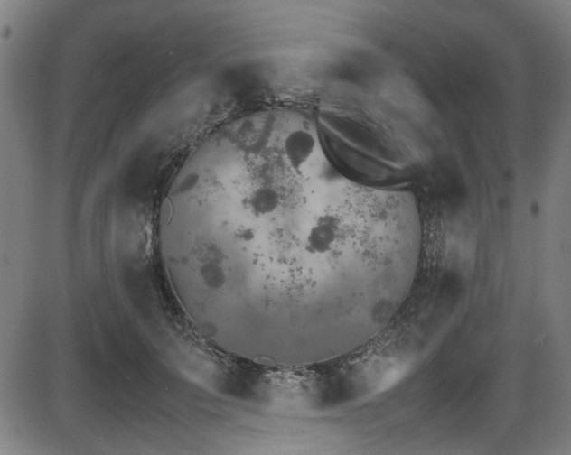 X0000087640703200705031510