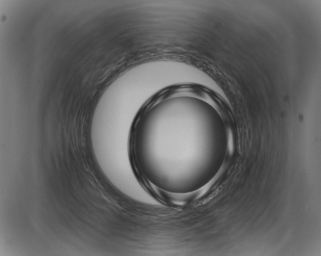 X0000087640704200705031510