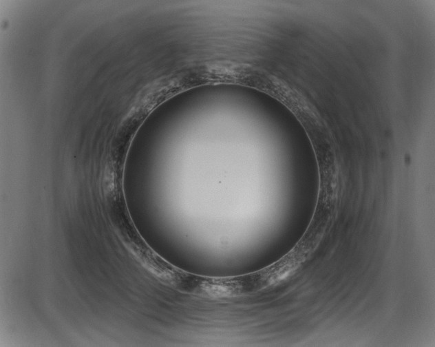 X0000087640706200705031510