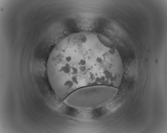 X0000087640707200705031510