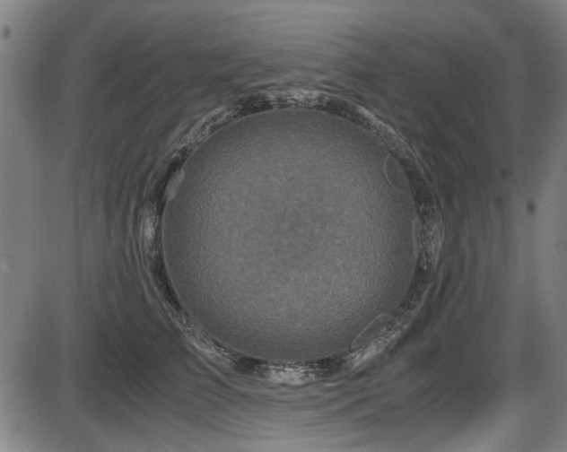 X0000087640709200705031510