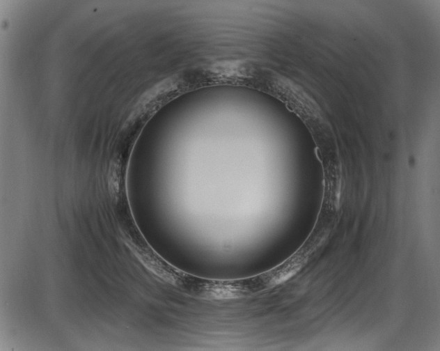 X0000087640710200705031510