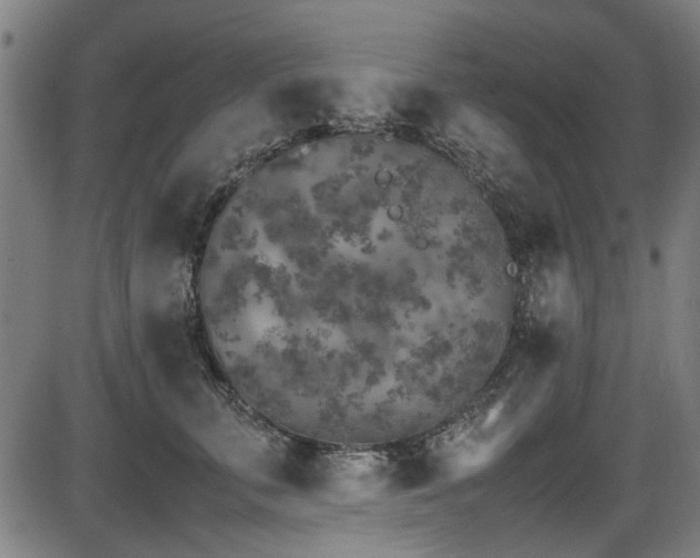 X0000087640711200705031510