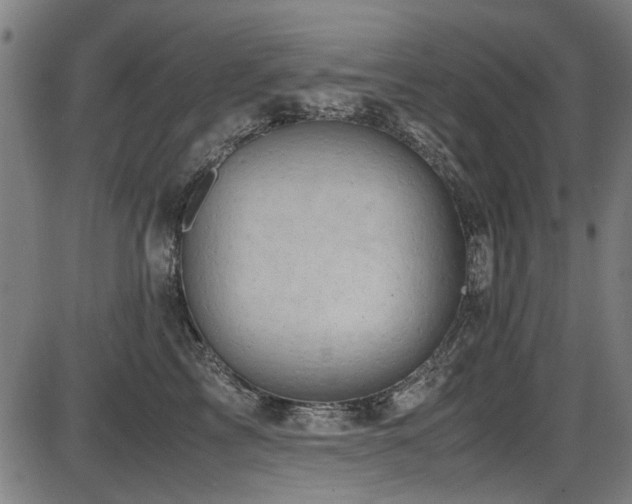 X0000087640713200705031510