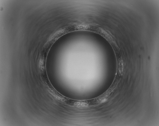 X0000087640714200705031510