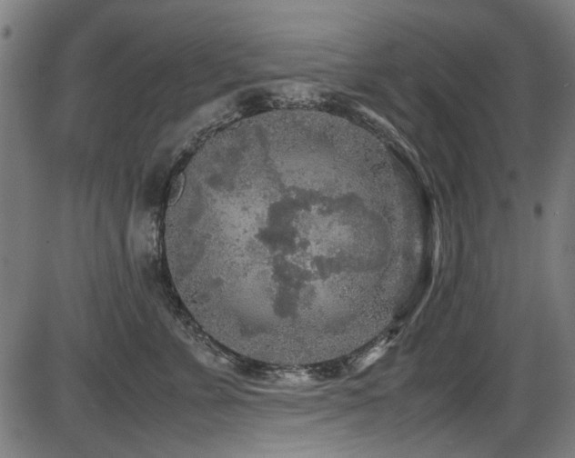 X0000087640715200705031510