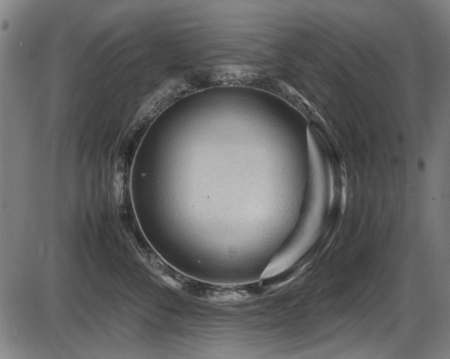 X0000087640716200705031510