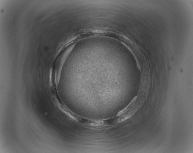 X0000087640720200705031510