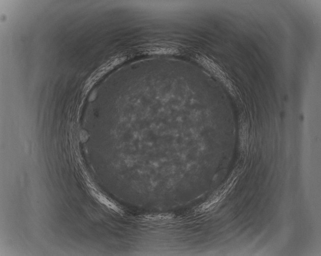 X0000087640721200705031509