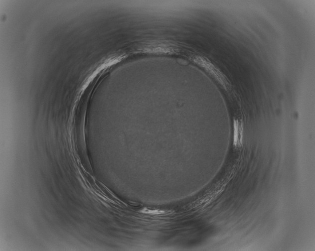 X0000087640723200705031509