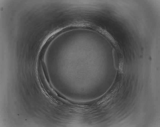 X0000087640724200705031509