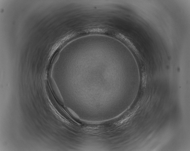 X0000087640725200705031509