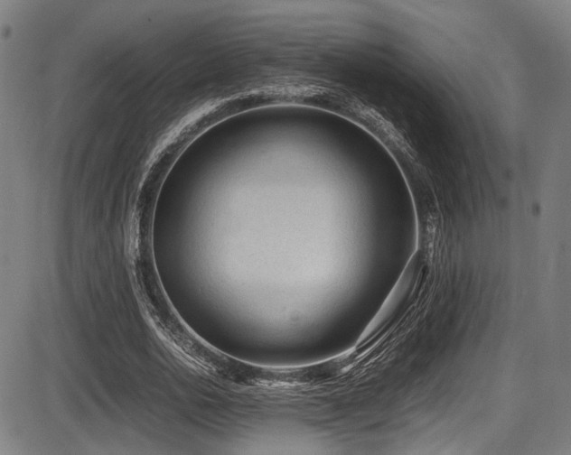 X0000087640726200705031509