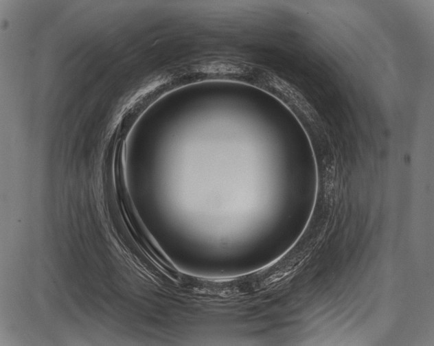 X0000087640727200705031509